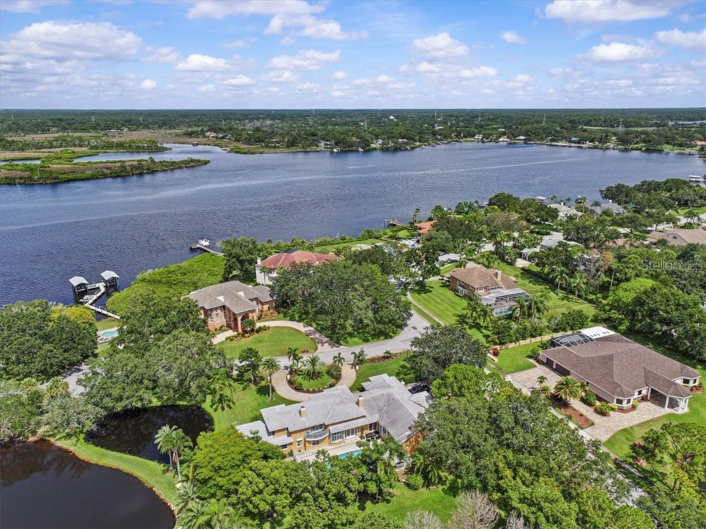 1520 Jade Lane Tarpon Springs FL 34689 TB8440164 image82