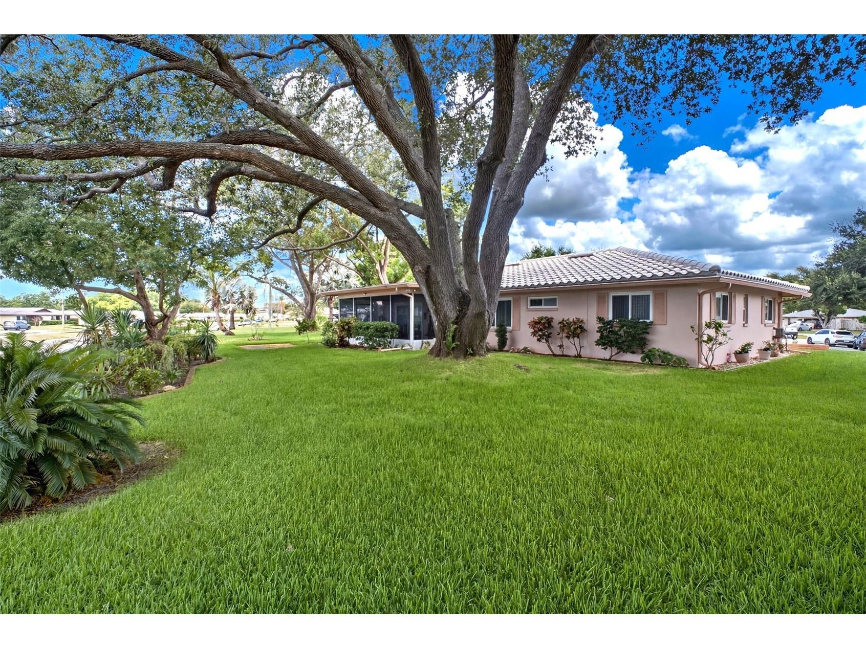 1520 Kenmore Court Palm Harbor FL 34684 - LAKE TARPON TB8527579 image31