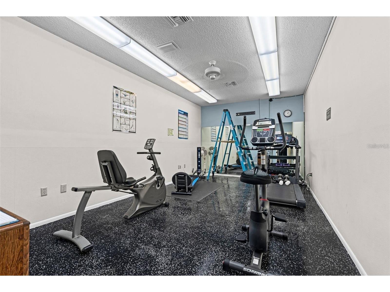 1520 Lakeside Way #147 Sarasota FL 34232 A4698216 image58