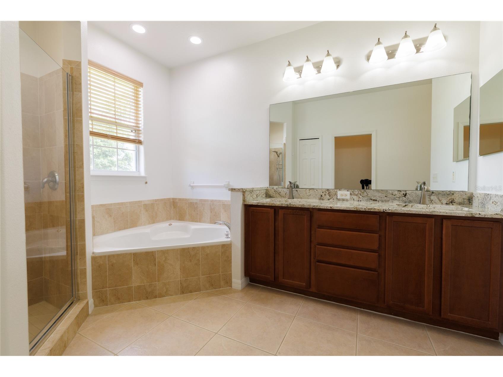 1520 Mistflower Lane Winter Garden FL 34787 O6414664 image48