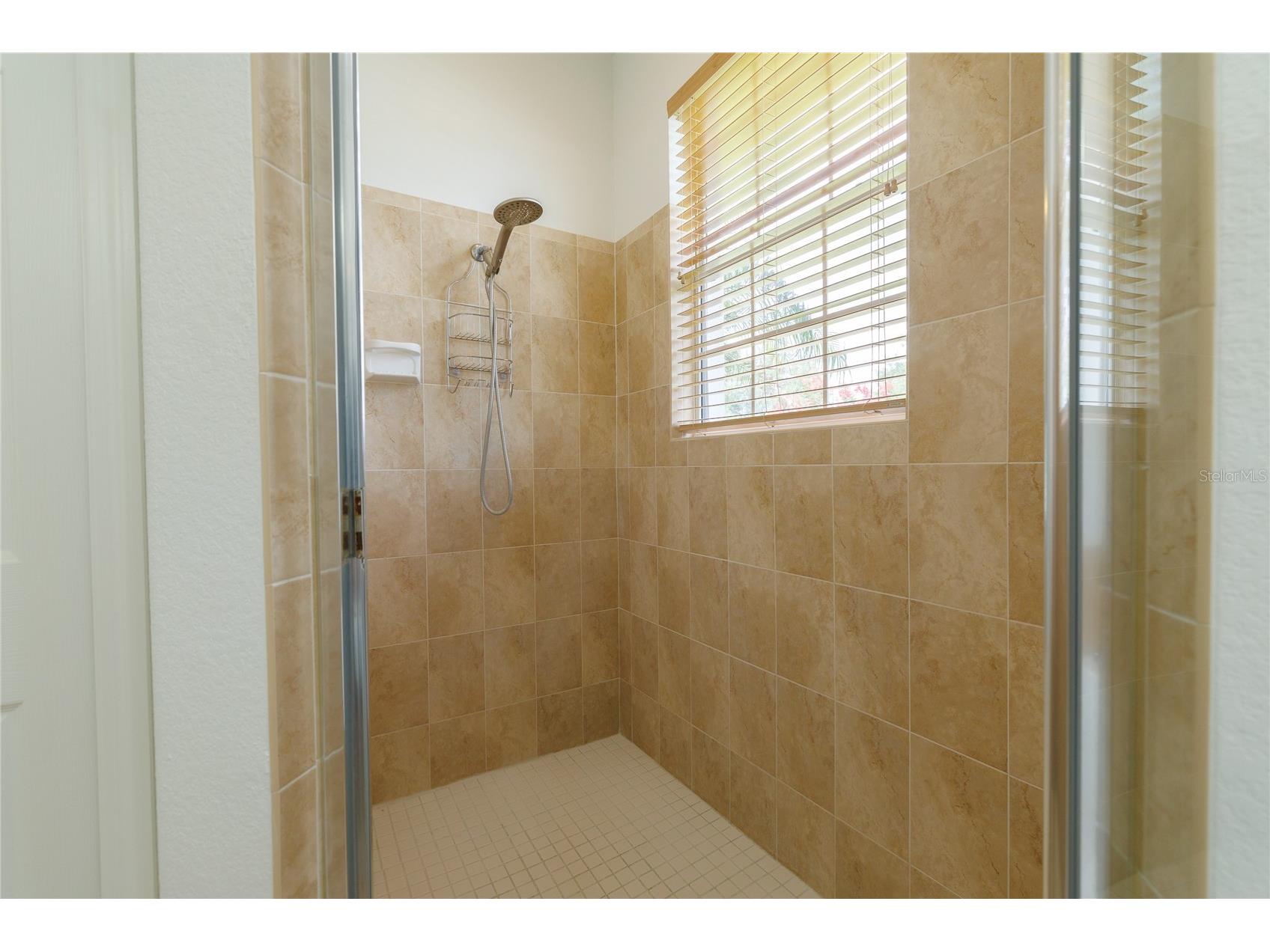 1520 Mistflower Lane Winter Garden FL 34787 O6414664 image49