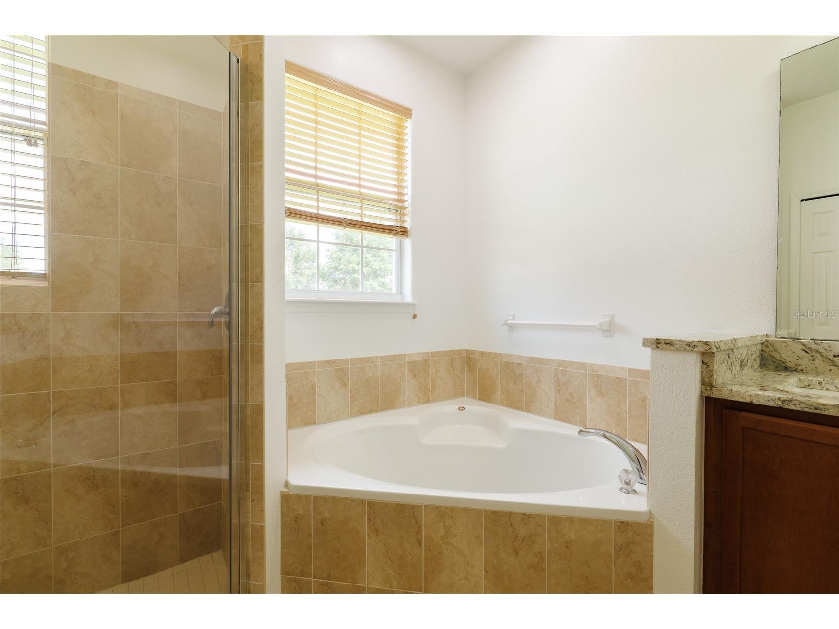 1520 Mistflower Lane Winter Garden FL 34787 O6414664 image51