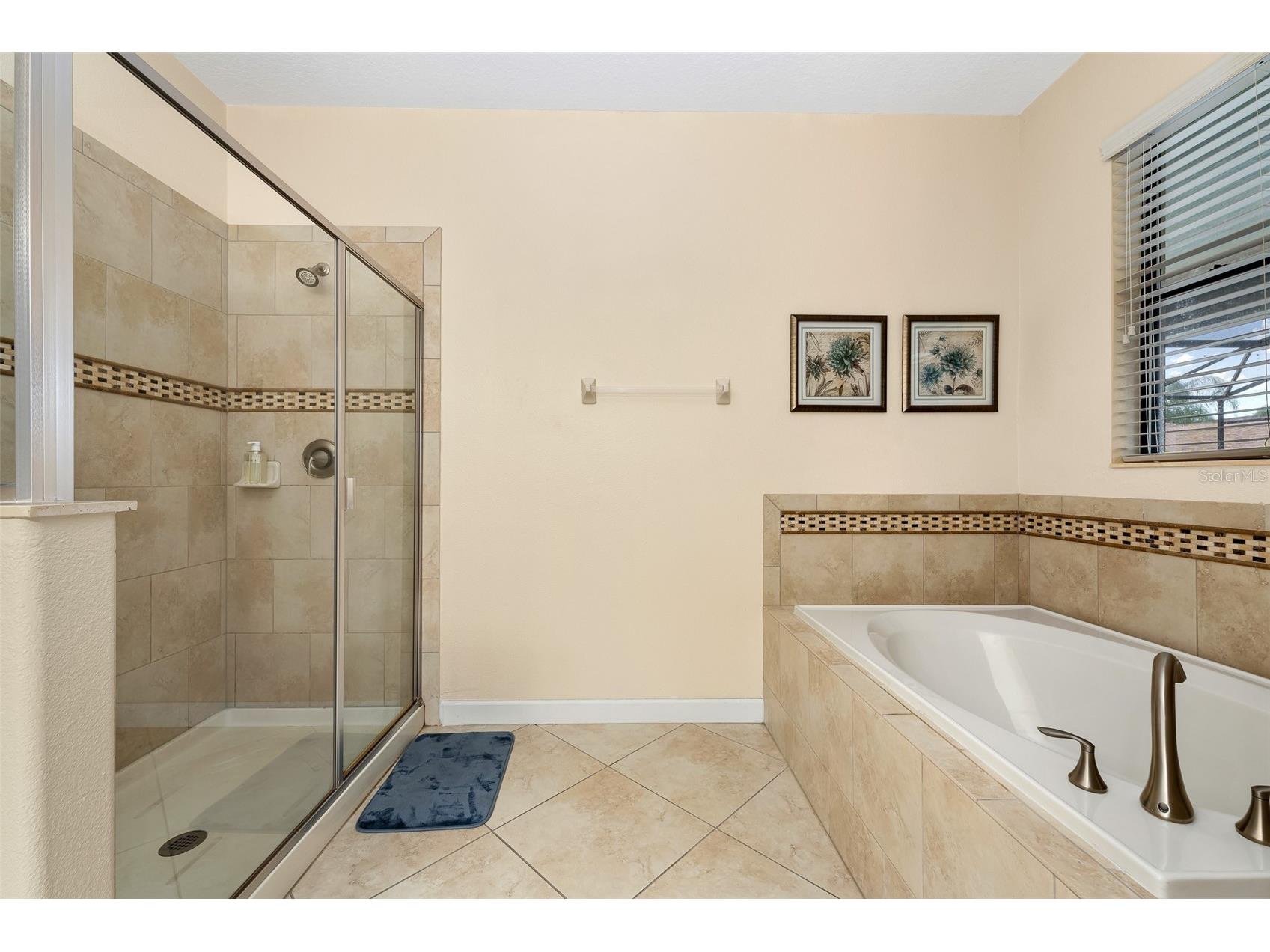 1520 Moon Valley Drive Davenport FL 33896 FC316539 image23