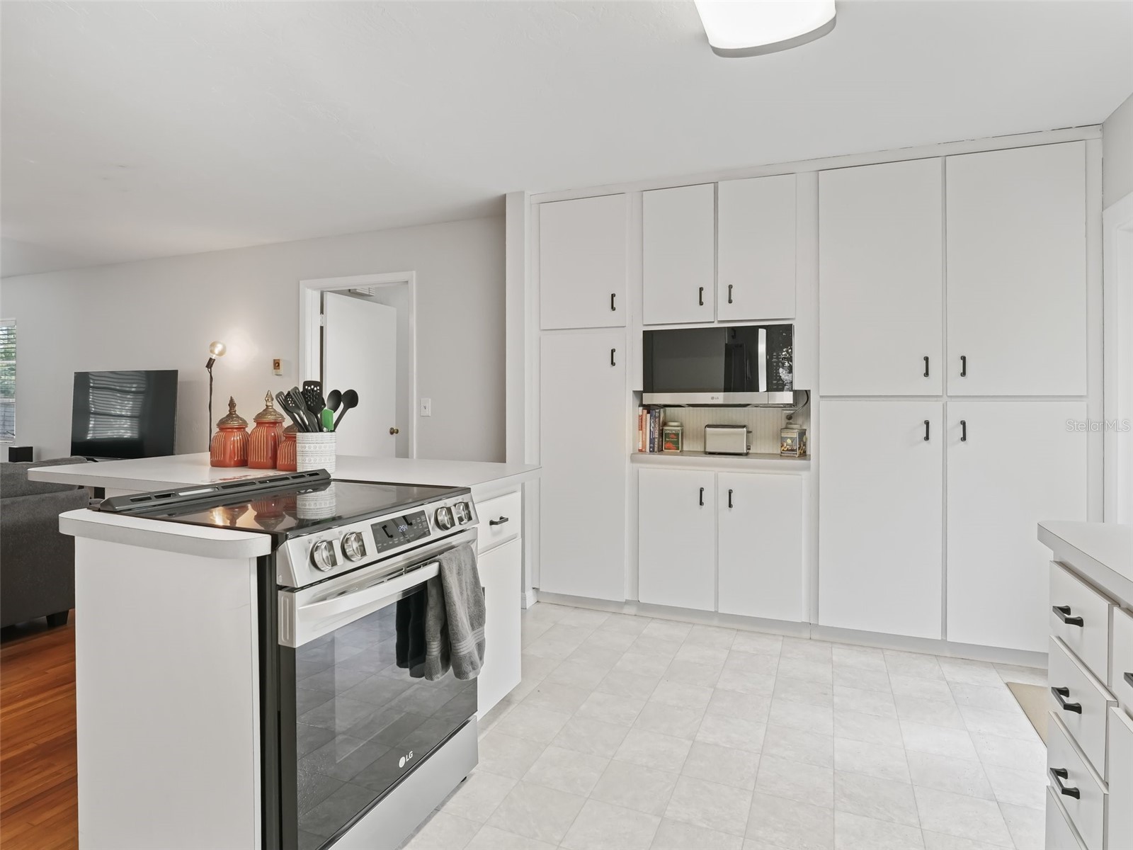 1520 NE 12th Street Ocala FL 34470 OM722738 image10