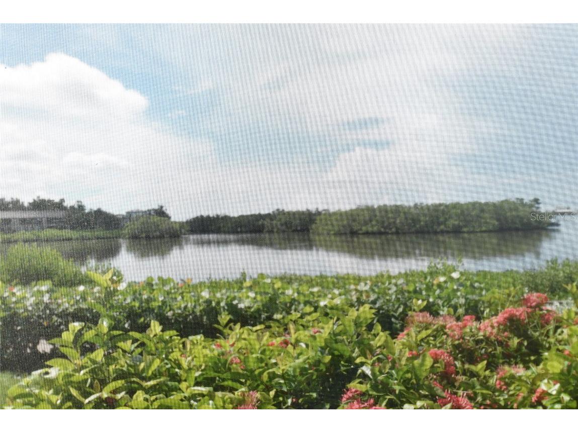 1520 Pelican Point Drive #BA153 Sarasota FL 34231 A4664797 image11