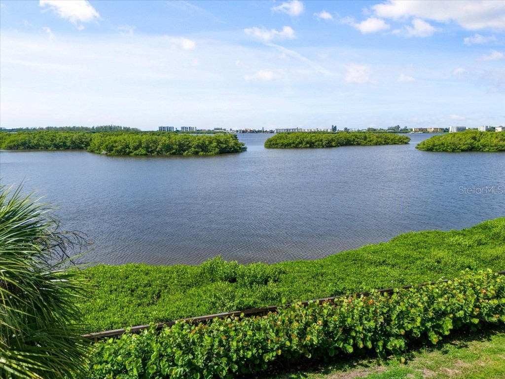 1520 Pelican Point Drive #BA251 Sarasota FL 34231 A4662594 image42