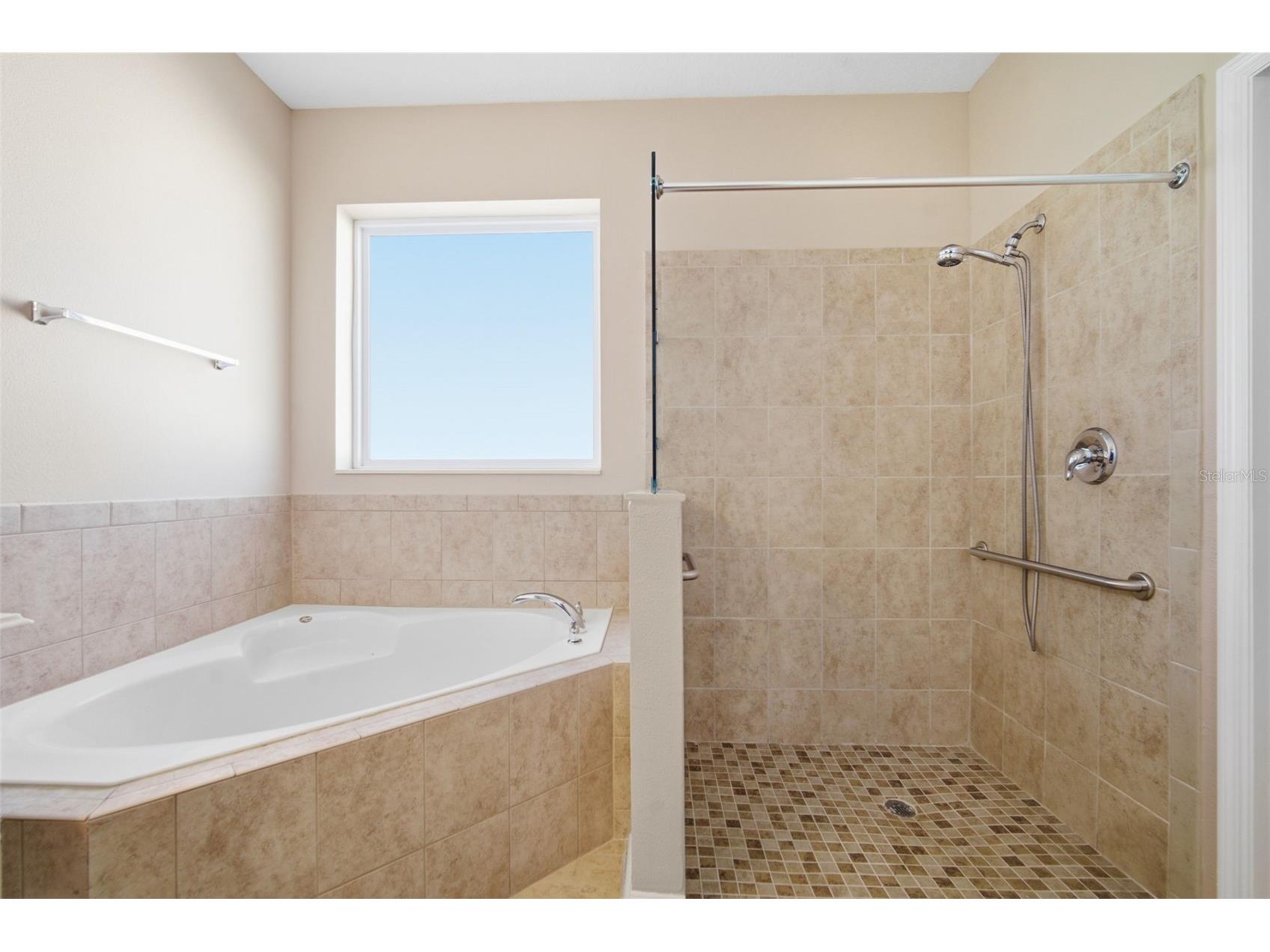 1520 Rhodeswell Lane Dover FL 33527 TB8507588 image29