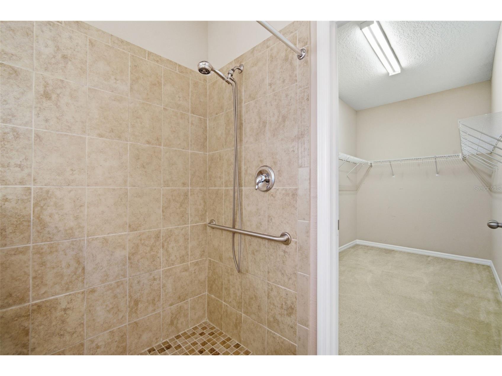 1520 Rhodeswell Lane Dover FL 33527 TB8507588 image30
