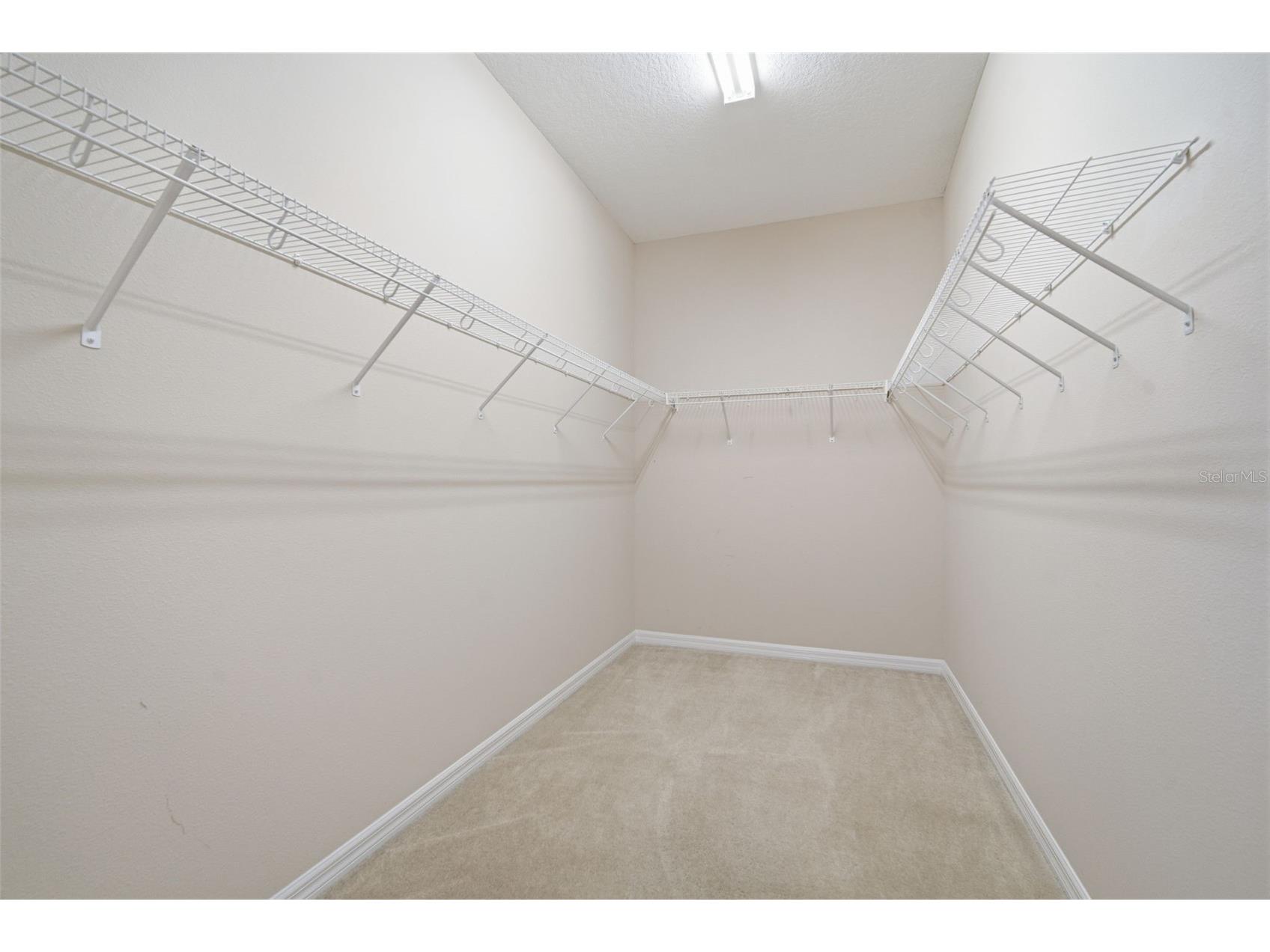 1520 Rhodeswell Lane Dover FL 33527 TB8507588 image31