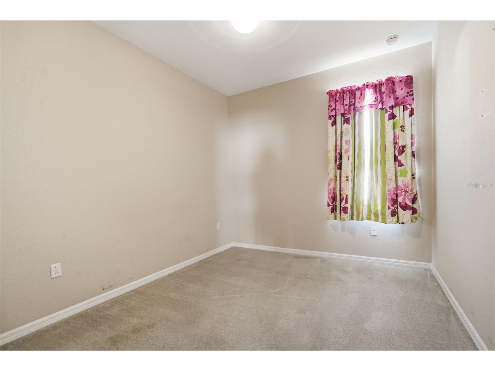 1520 Rhodeswell Lane Dover FL 33527 TB8507588 image36