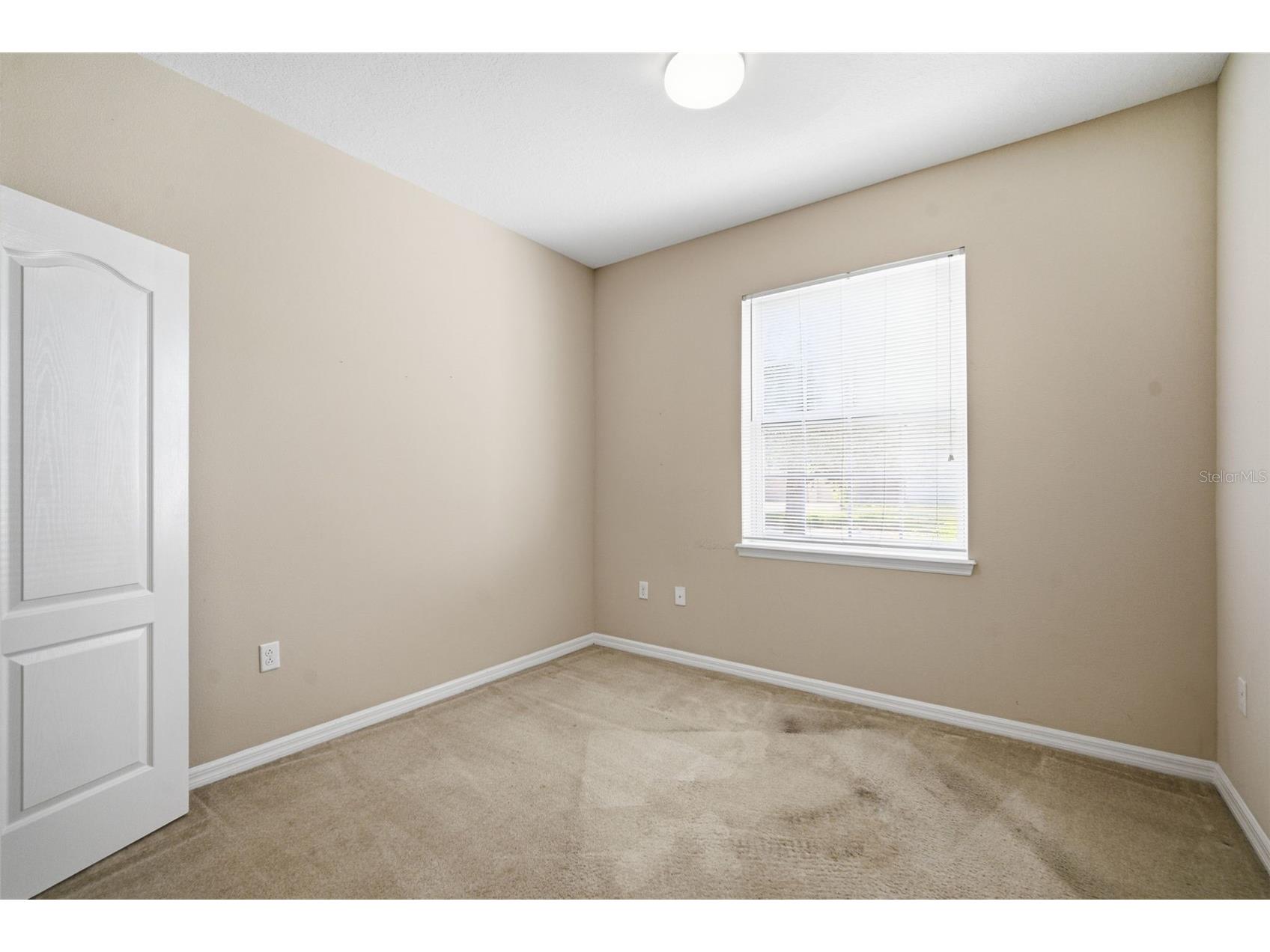 1520 Rhodeswell Lane Dover FL 33527 TB8507588 image40