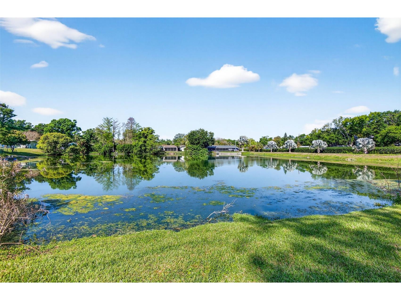 1520 S Keene Road Clearwater FL 33756 TB8492074 image44