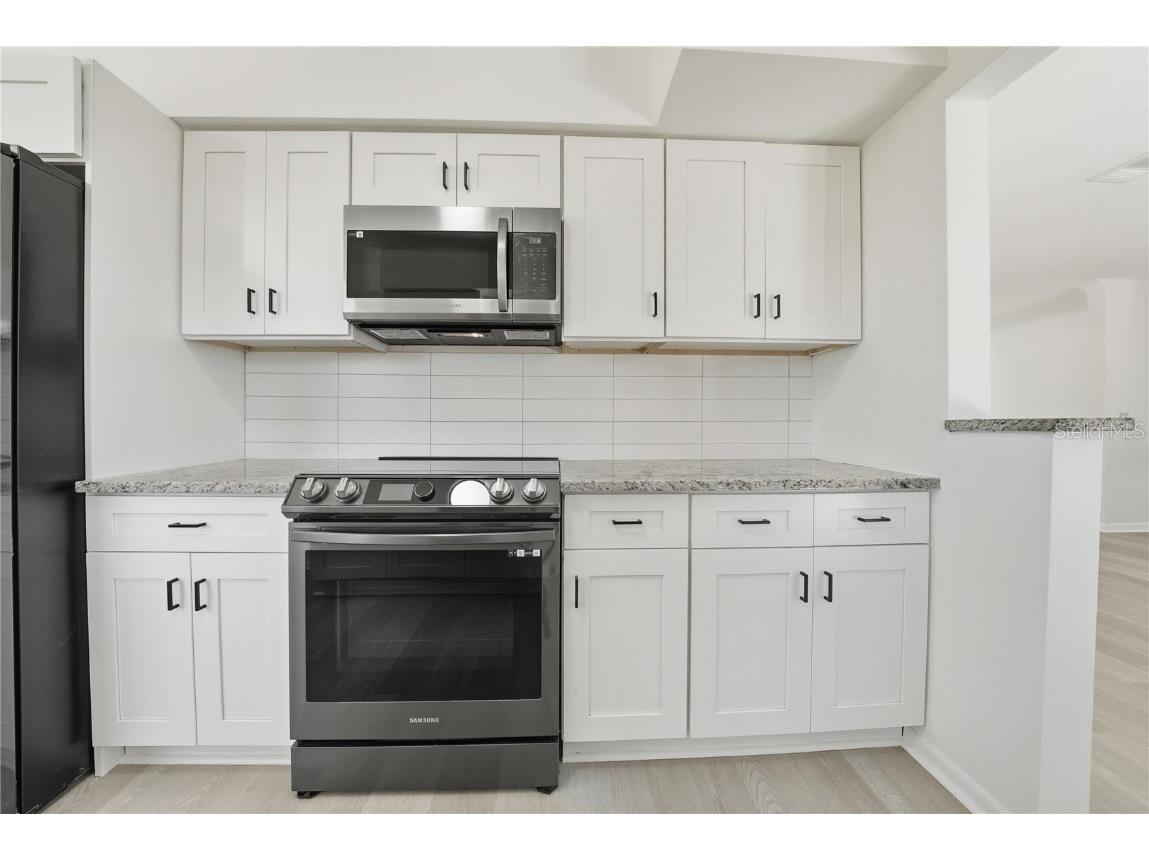 1520 San Helen Drive Dunedin FL 34698 TB8419263 image13