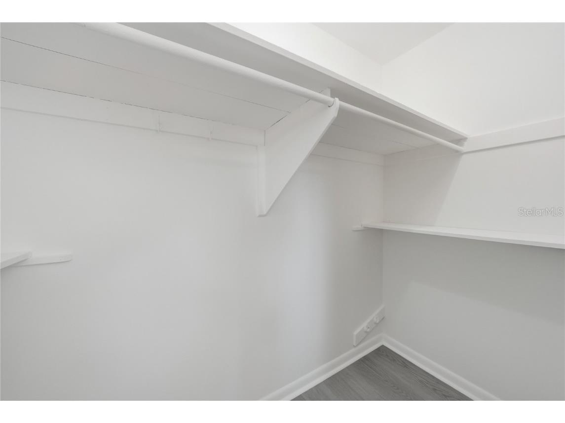 1520 San Helen Drive Dunedin FL 34698 TB8419263 image23