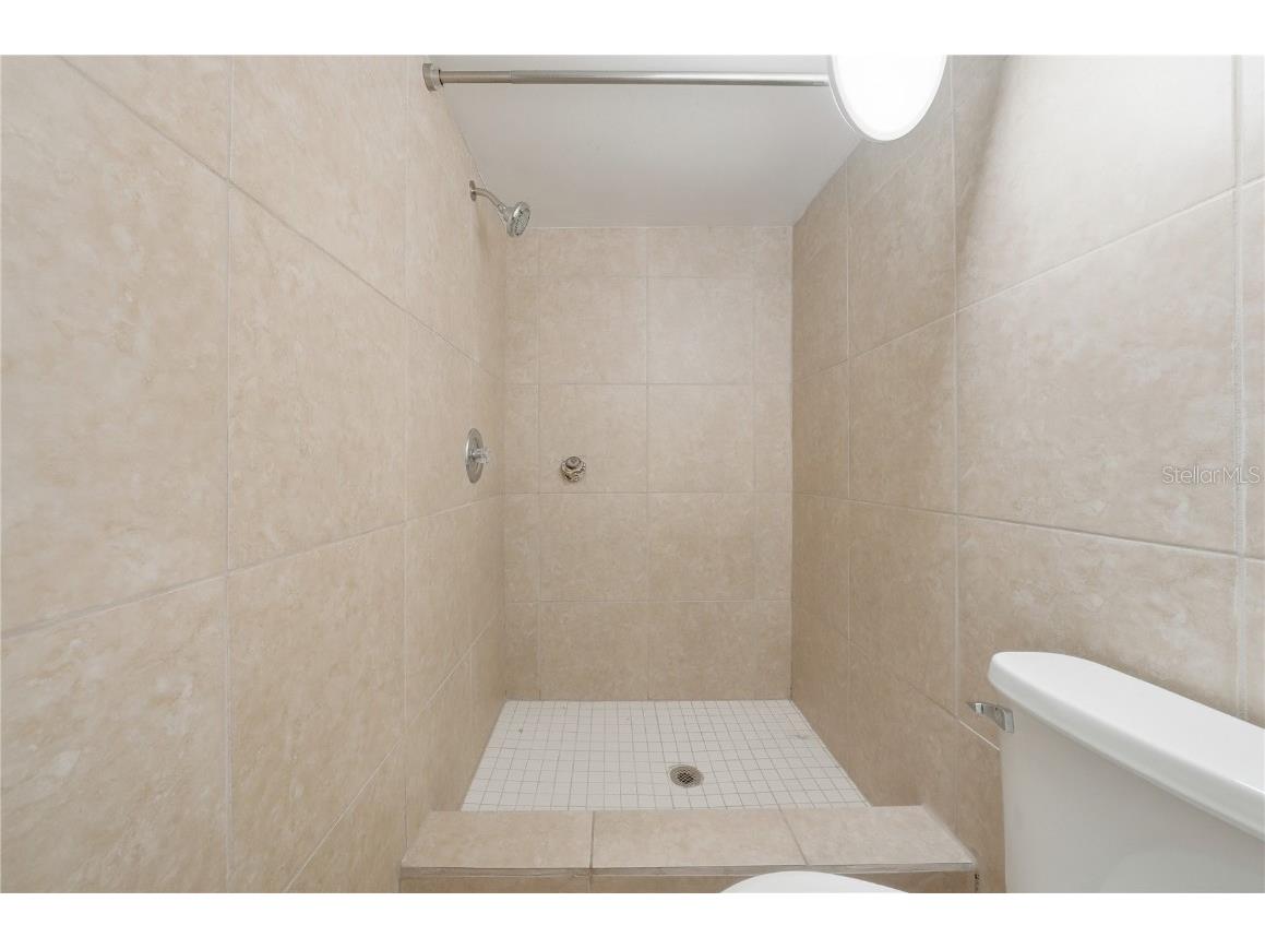 1520 San Helen Drive Dunedin FL 34698 TB8419263 image24