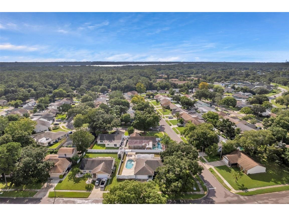 1520 Windmill Pointe Road Palm Harbor FL 34685 TB8452591 image2