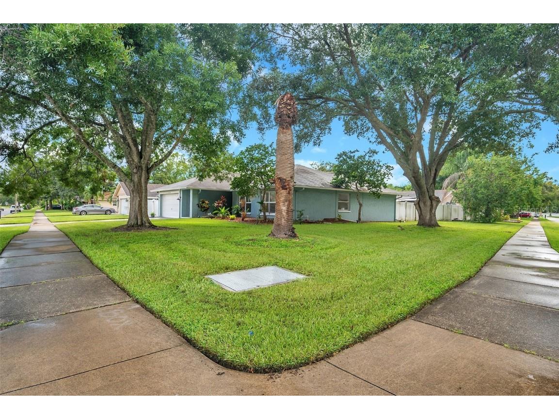 1520 Windmill Pointe Road Palm Harbor FL 34685 TB8452591 image4