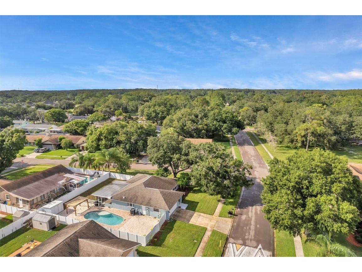 1520 Windmill Pointe Road Palm Harbor FL 34685 TB8452591 image56