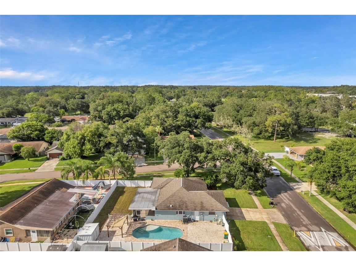 1520 Windmill Pointe Road Palm Harbor FL 34685 TB8452591 image57