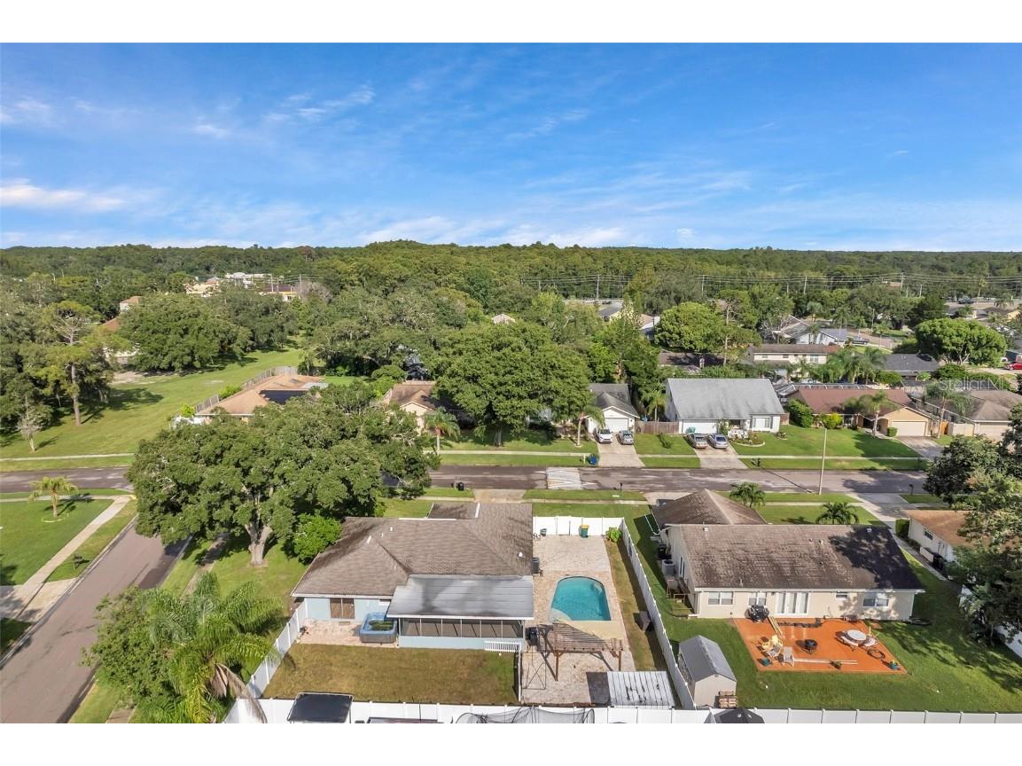 1520 Windmill Pointe Road Palm Harbor FL 34685 TB8452591 image59