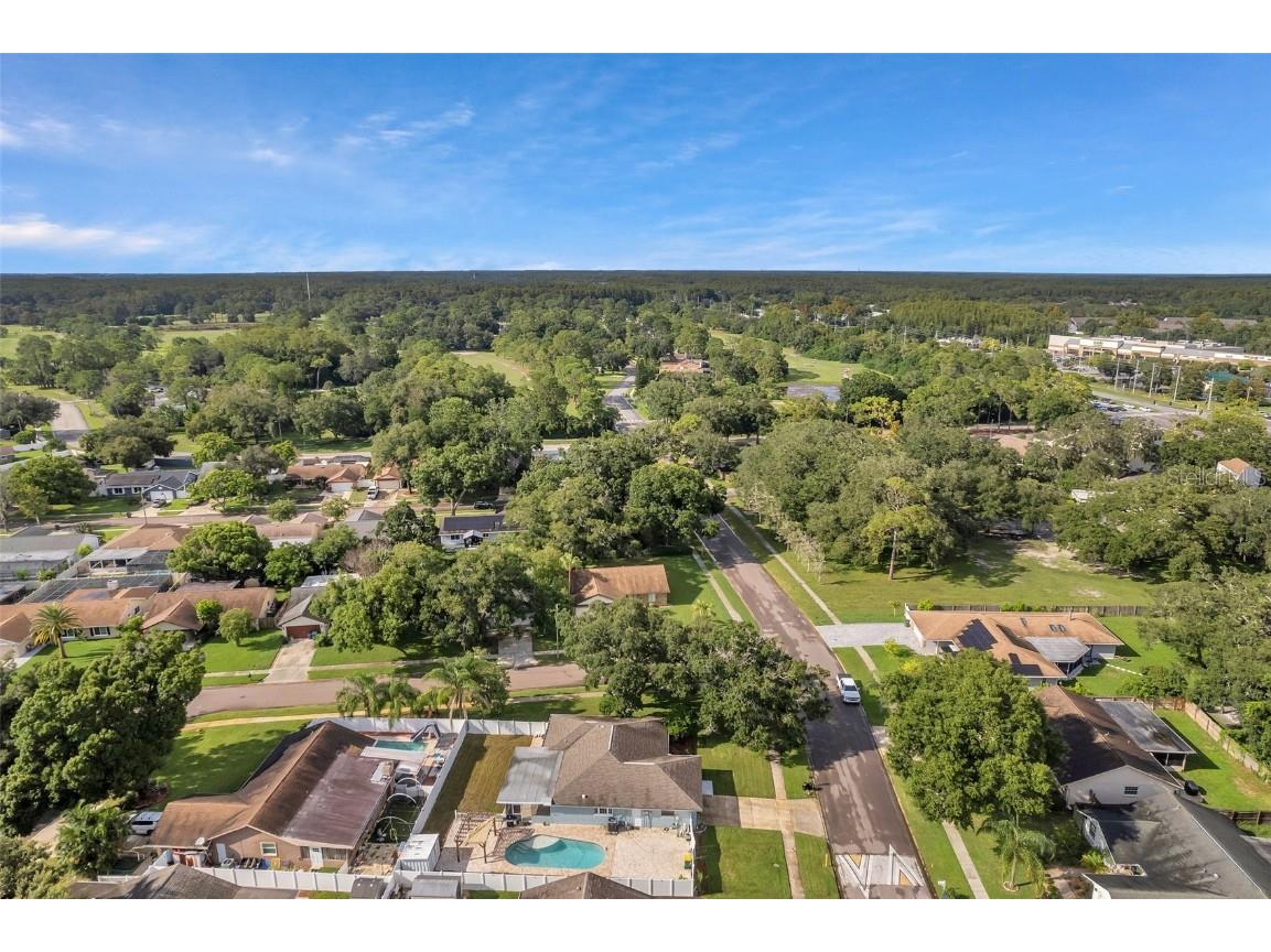 1520 Windmill Pointe Road Palm Harbor FL 34685 TB8452591 image61