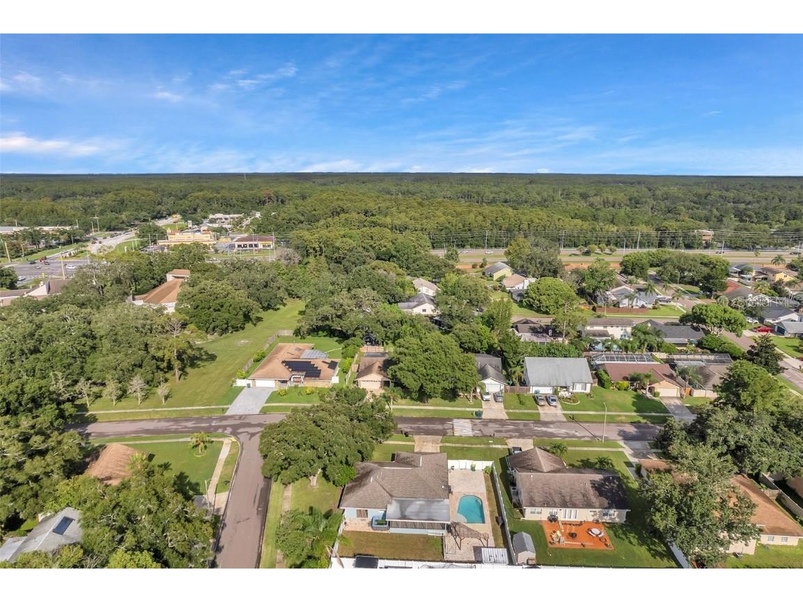 1520 Windmill Pointe Road Palm Harbor FL 34685 TB8452591 image62