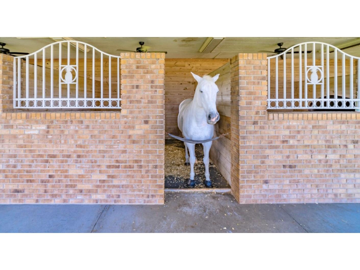 15200 Rawls Road Sarasota FL 34240 OM703152 image11