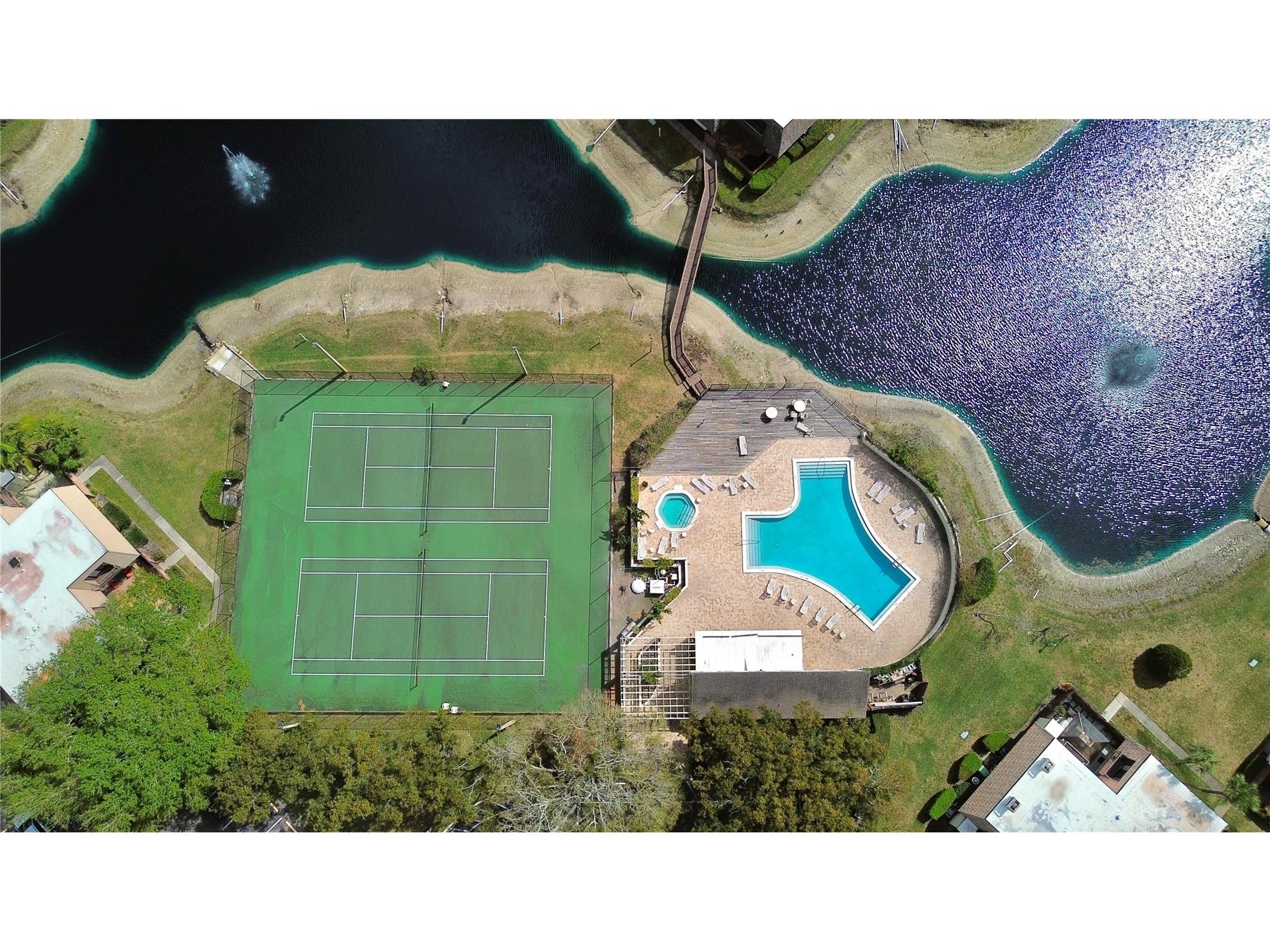 15202 W Pond Woods Drive Tampa FL 33618 TB8481621 image2