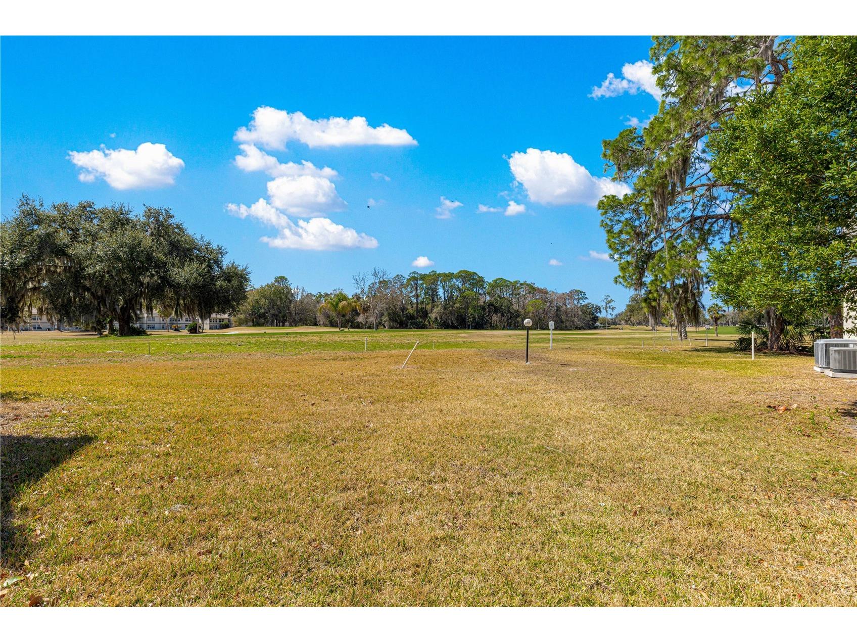 15203 Sandalwood Drive #203 Wildwood FL 34785 OM719737 image36