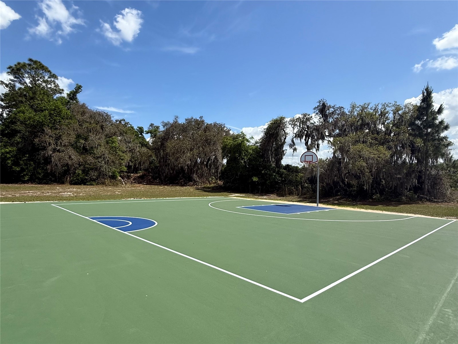 15203 Sandalwood Drive #203 Wildwood FL 34785 OM719737 image44