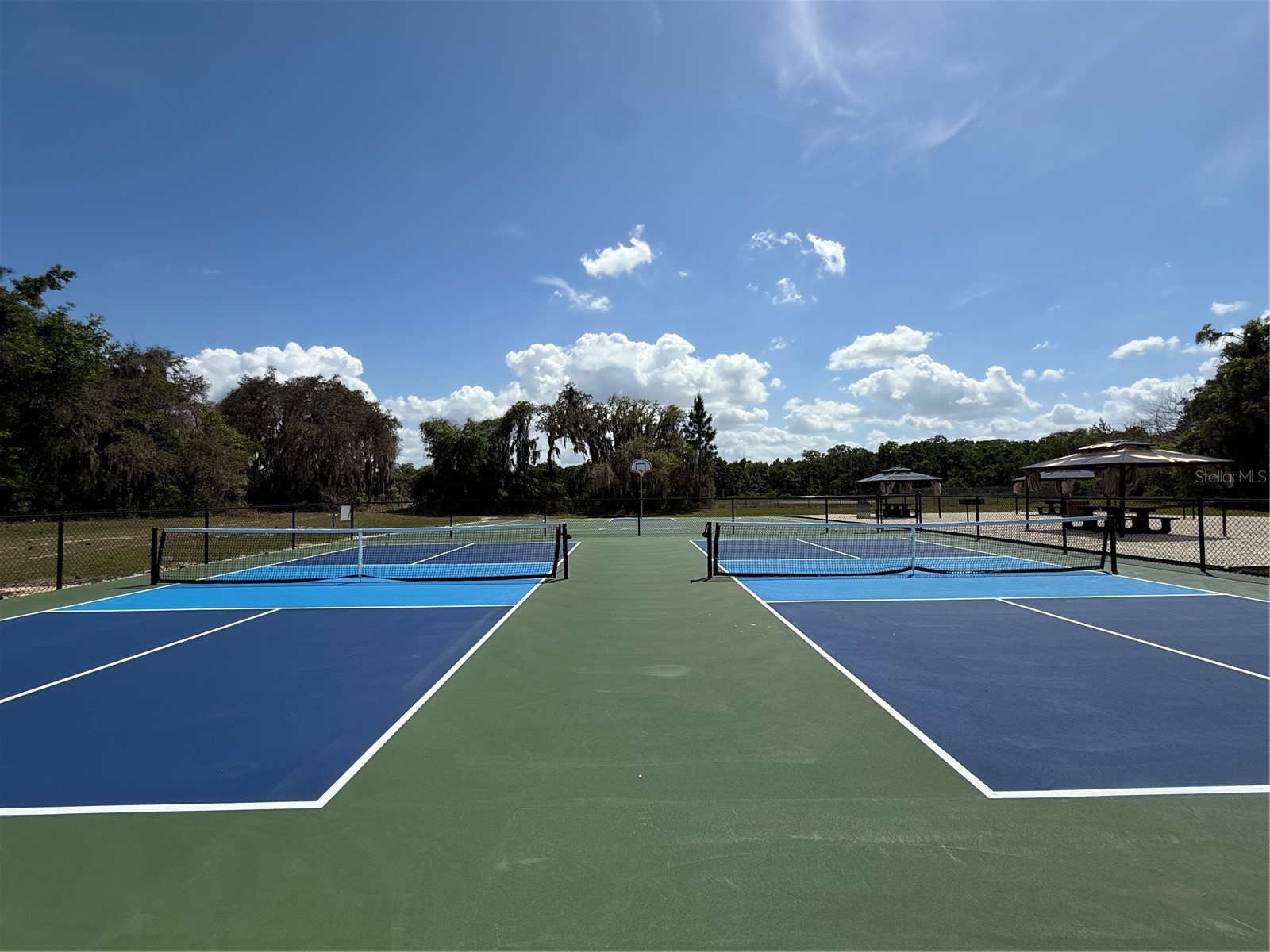 15203 Sandalwood Drive #203 Wildwood FL 34785 OM719737 image45