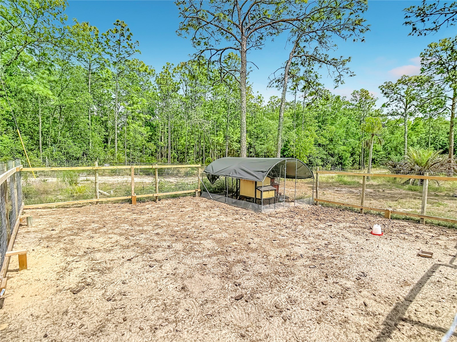 15204 Ganster Drive Brooksville FL 34613 OM724224 image47