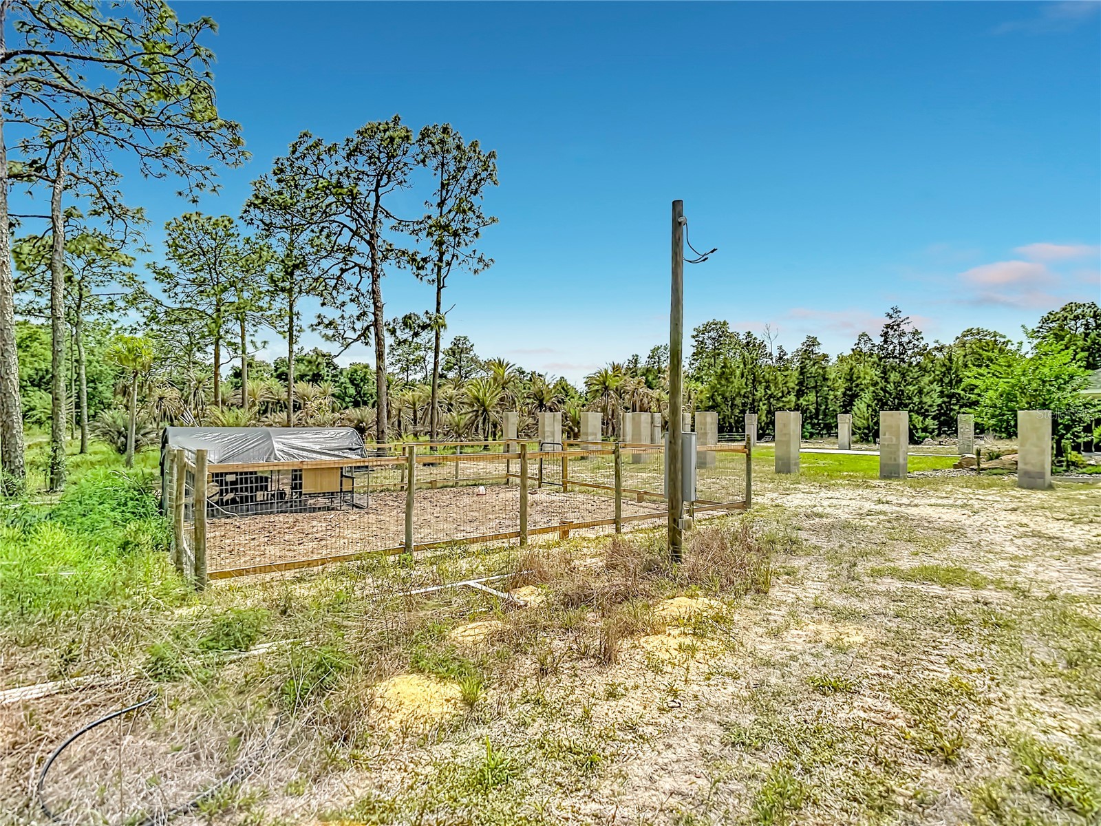15204 Ganster Drive Brooksville FL 34613 OM724224 image48