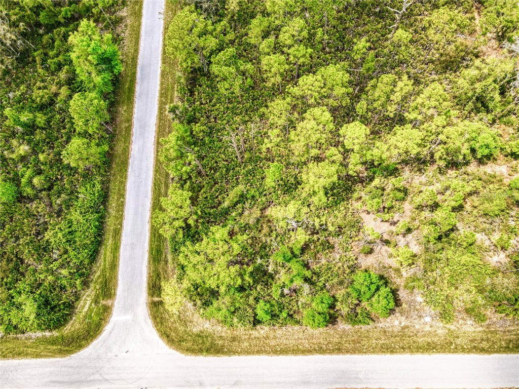 15204 Plant Avenue Port Charlotte FL 33953 O6294327 image4