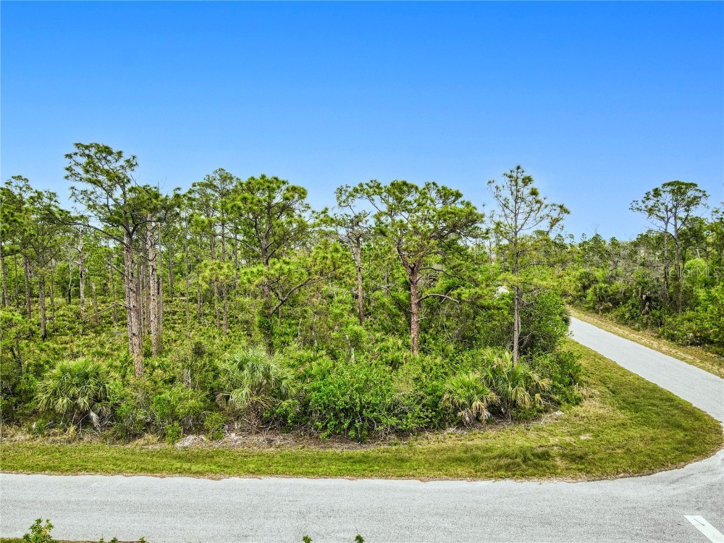 15204 Plant Avenue Port Charlotte FL 33953 O6294327 image6