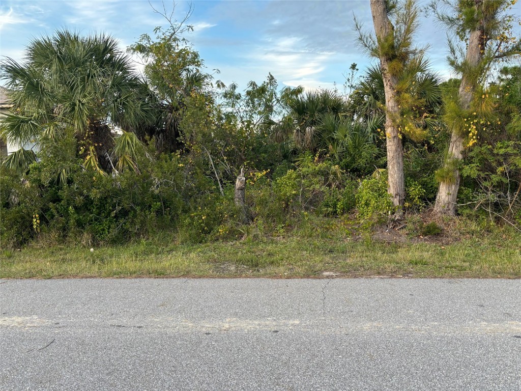 15205 Brainbridge Circle Port Charlotte FL 33981 O6186433 image1