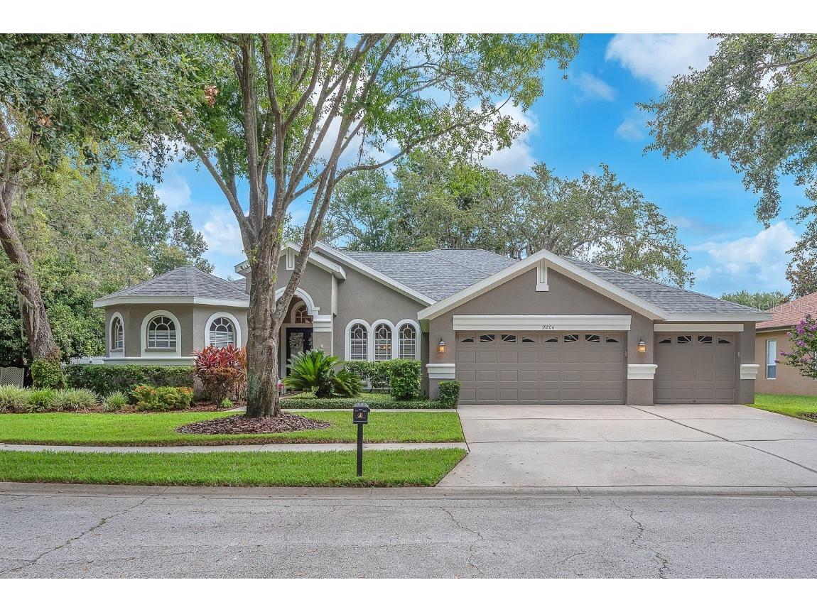 15206 Merlinpark Place Lithia FL 33547 TB8400966 image1