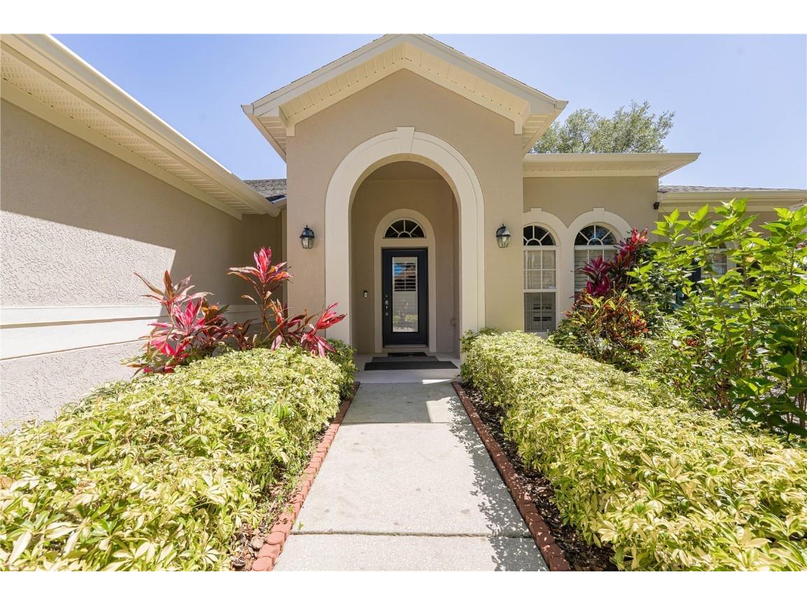 15206 Octavia Lane Odessa FL 33556 T3445188 image1