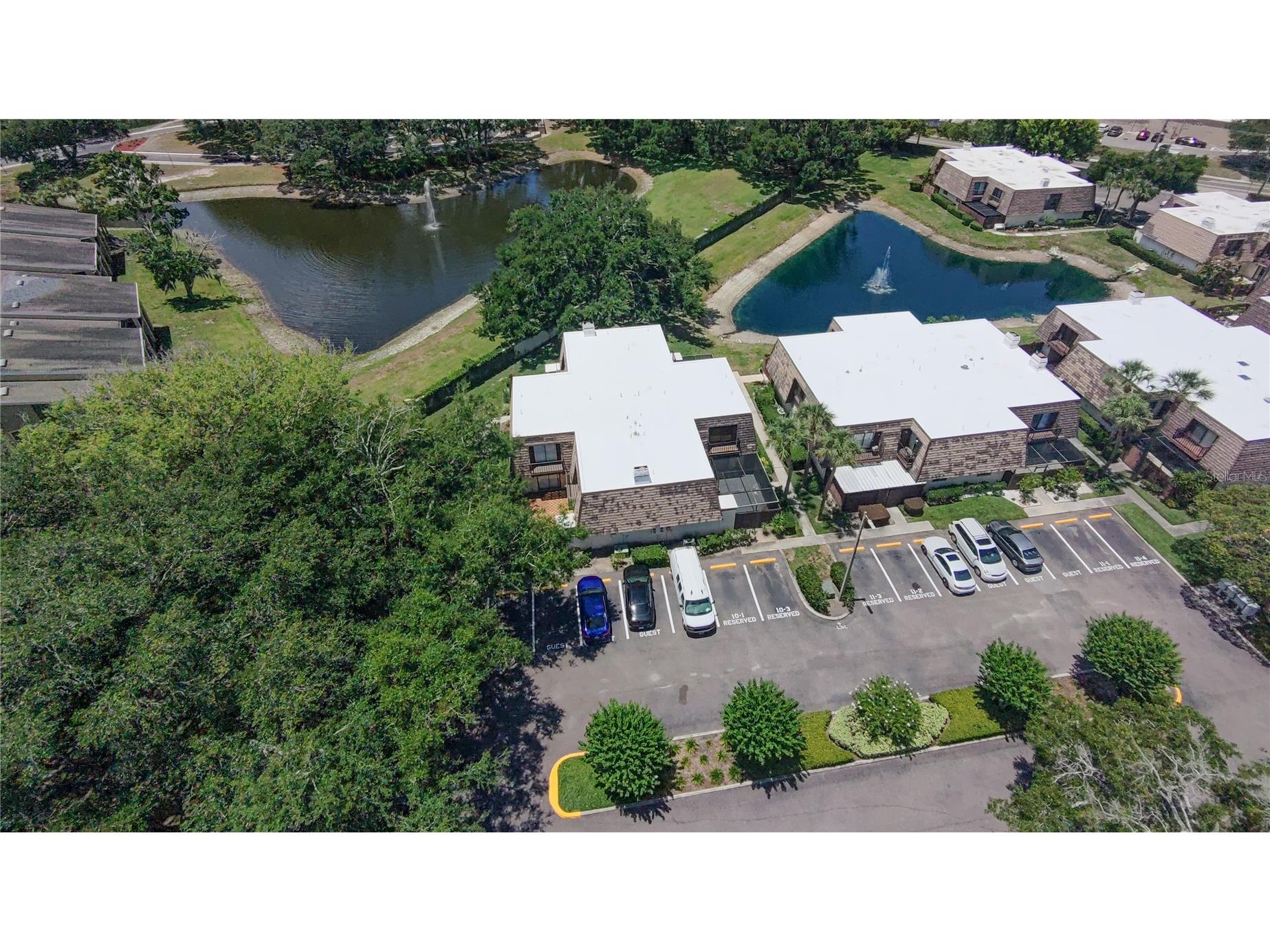 15206 W Pond Woods Drive Tampa FL 33618 TB8511899 image3