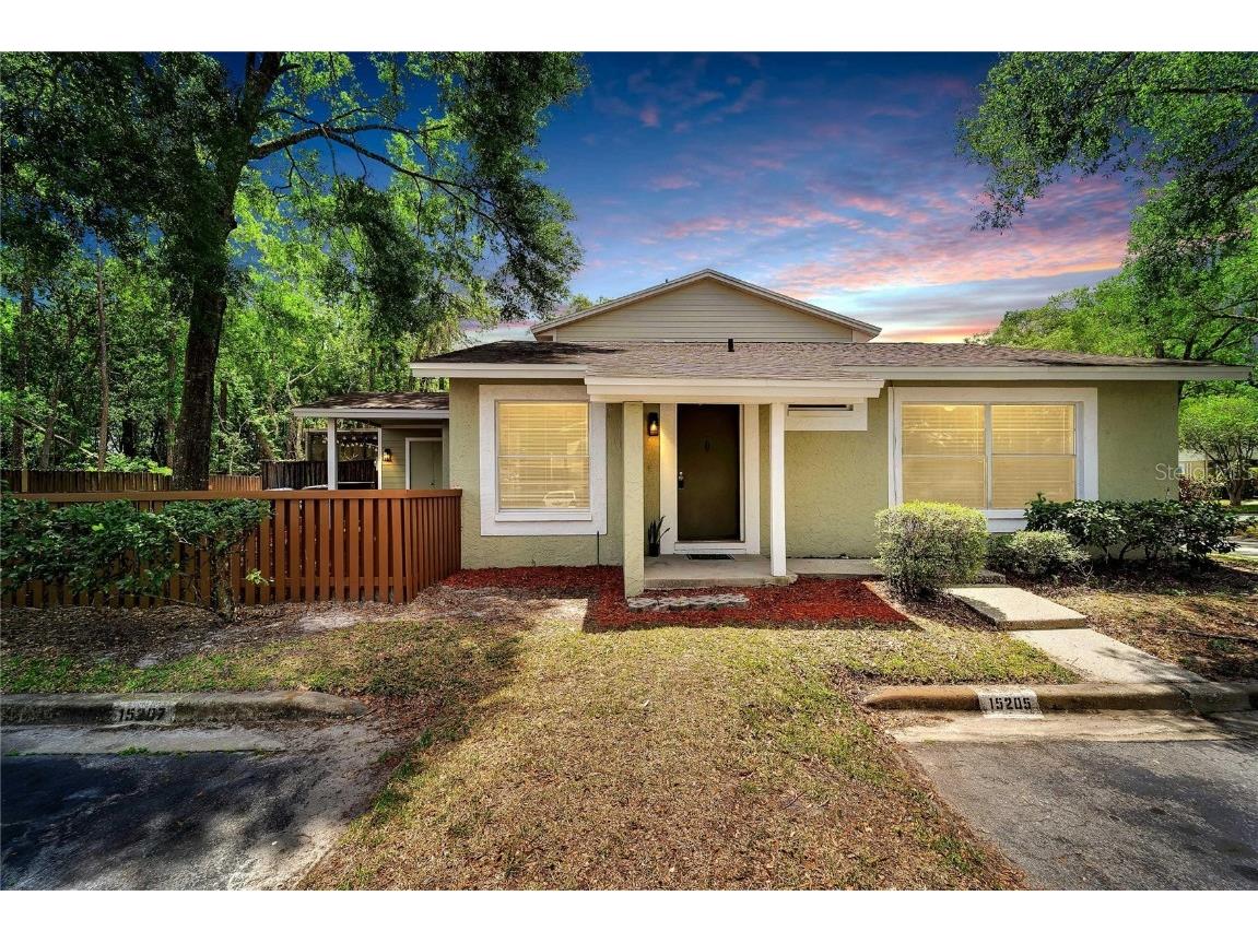 15207 Morning Drive Lutz FL 33559 T3445422 image1