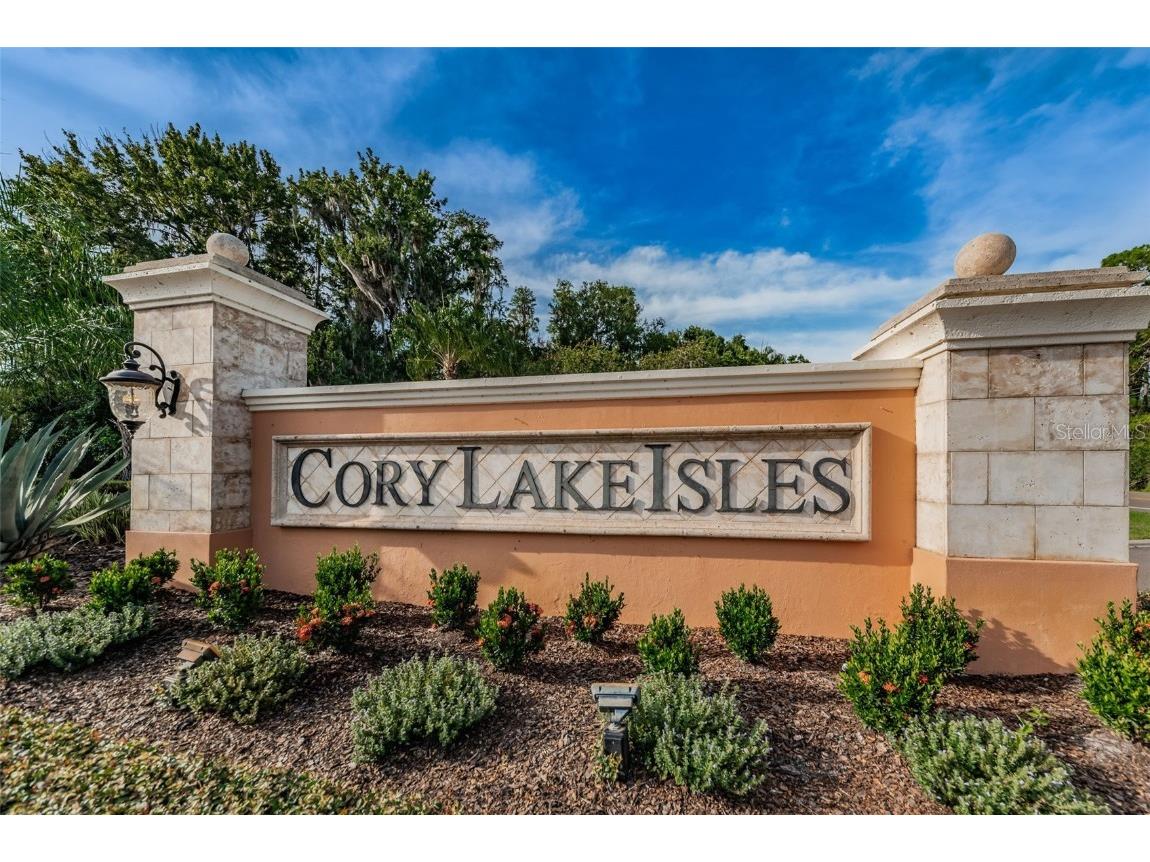 15208 Antilles Isle Lane Tampa FL 33647 U8196670 image1