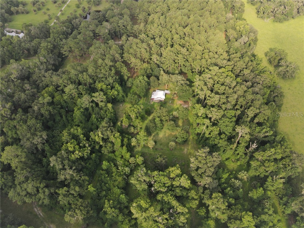 15208 SW Williston Rd Micanopy FL 32667 GC514410 image12