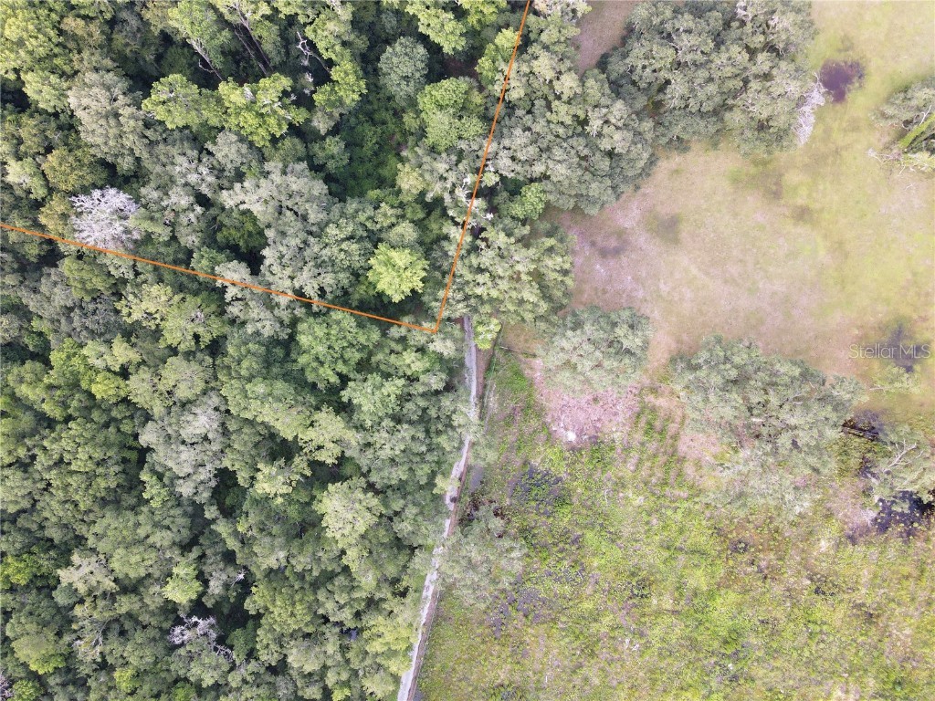 15208 SW Williston Rd Micanopy FL 32667 GC514410 image19