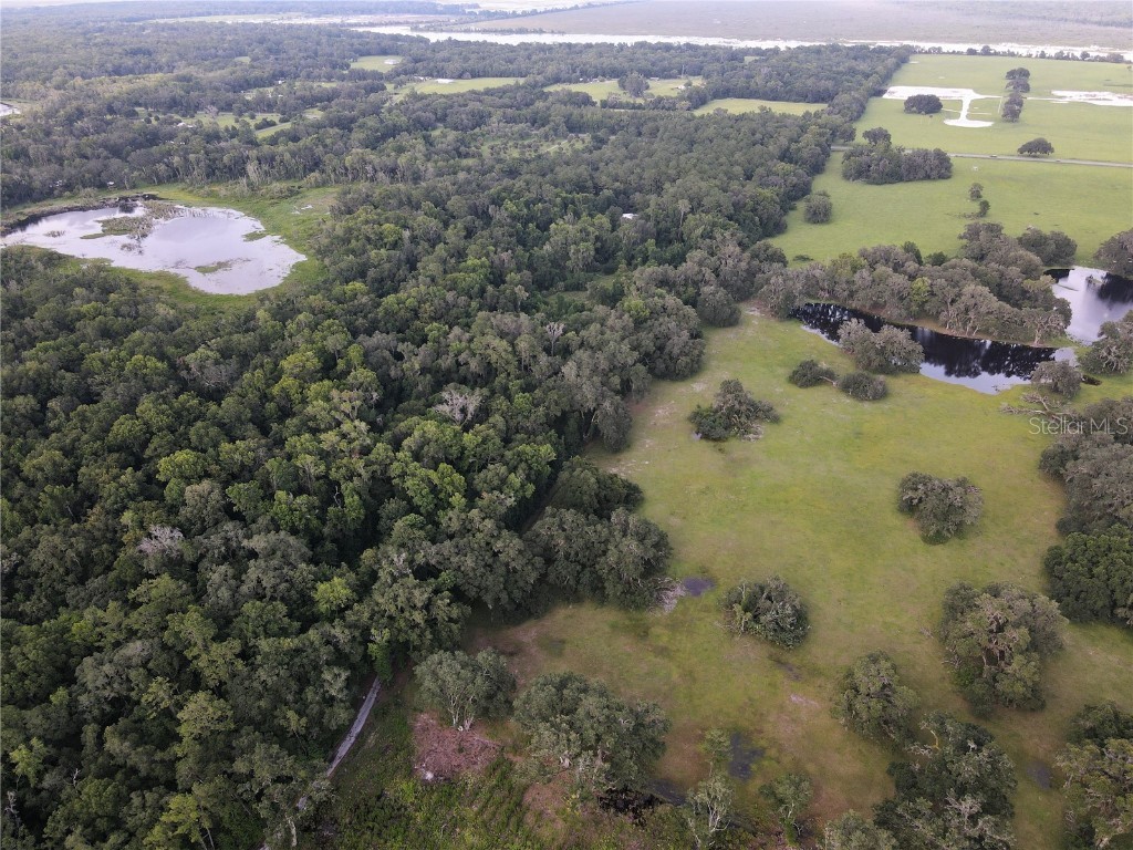15208 SW Williston Rd Micanopy FL 32667 GC514410 image20