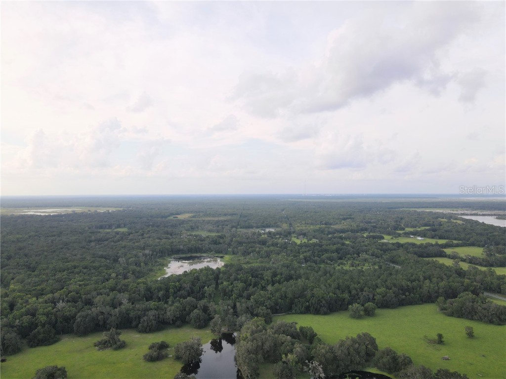 15208 SW Williston Rd Micanopy FL 32667 GC514410 image24