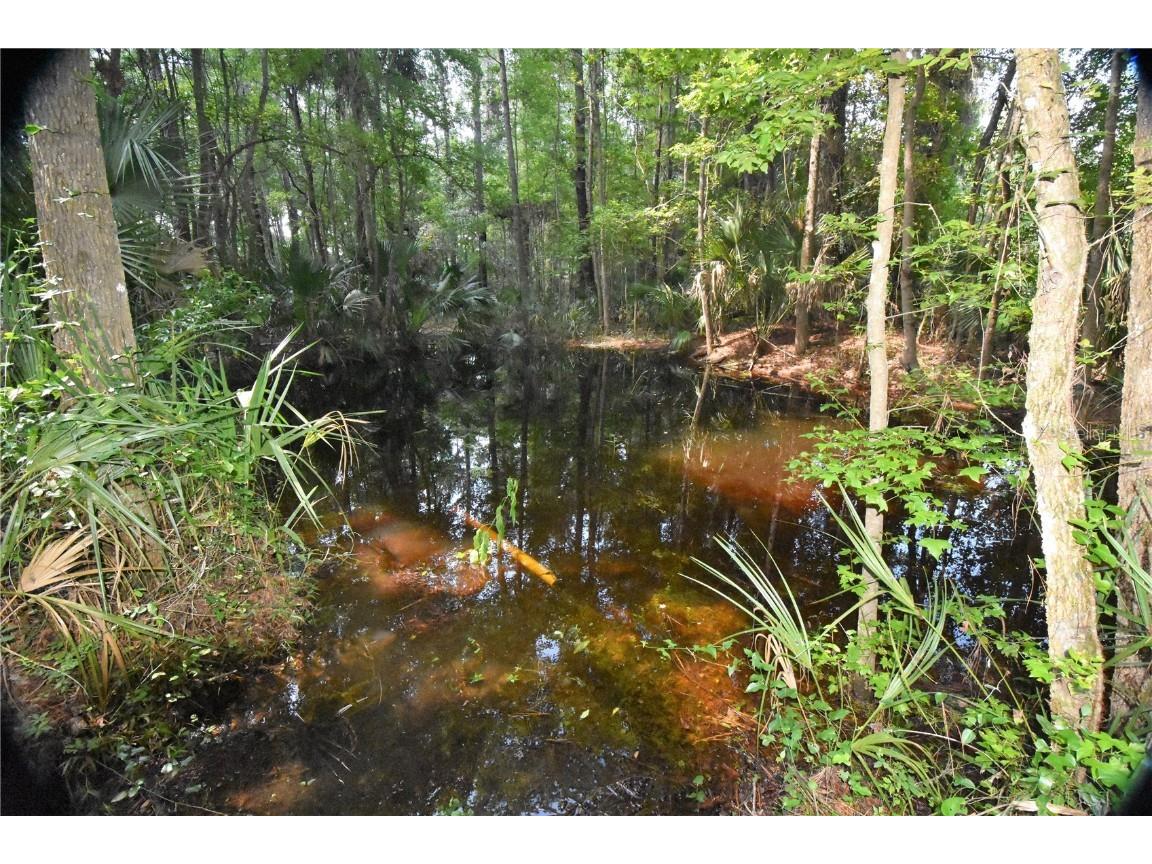 15208 SW Williston Rd Micanopy FL 32667 GC514410 image28