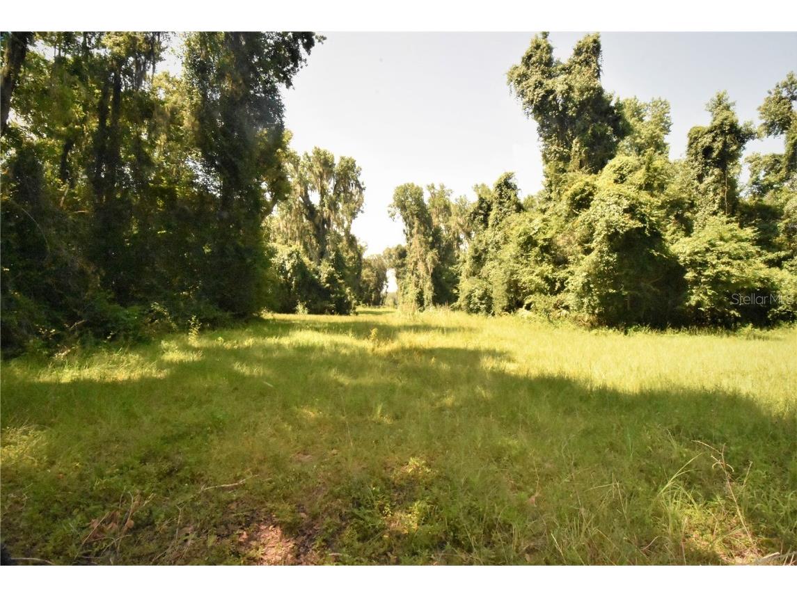 15208 SW Williston Rd Micanopy FL 32667 GC514410 image29