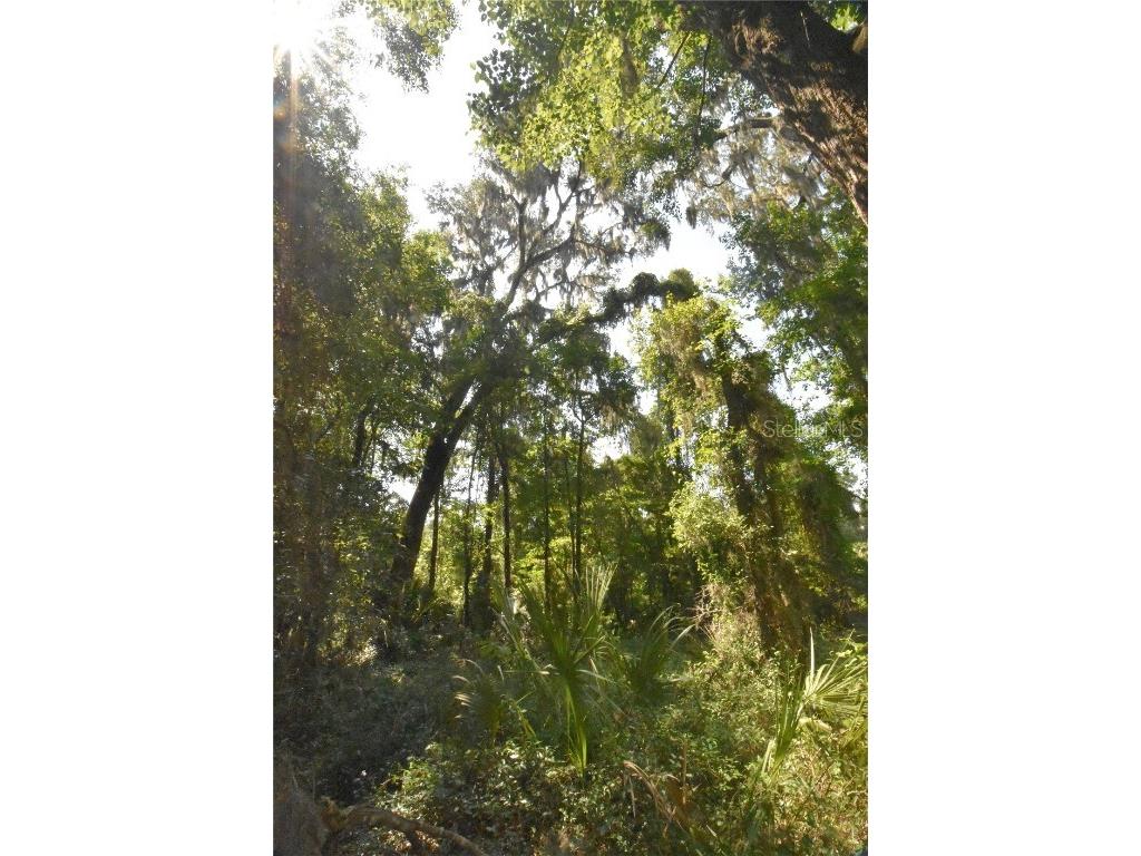 15208 SW Williston Rd Micanopy FL 32667 GC514410 image30