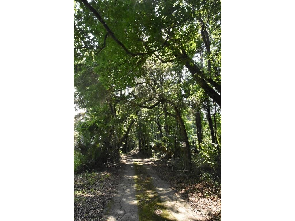 15208 SW Williston Rd Micanopy FL 32667 GC514410 image31