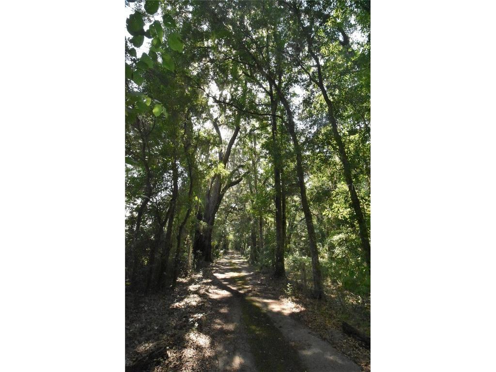 15208 SW Williston Rd Micanopy FL 32667 GC514410 image32